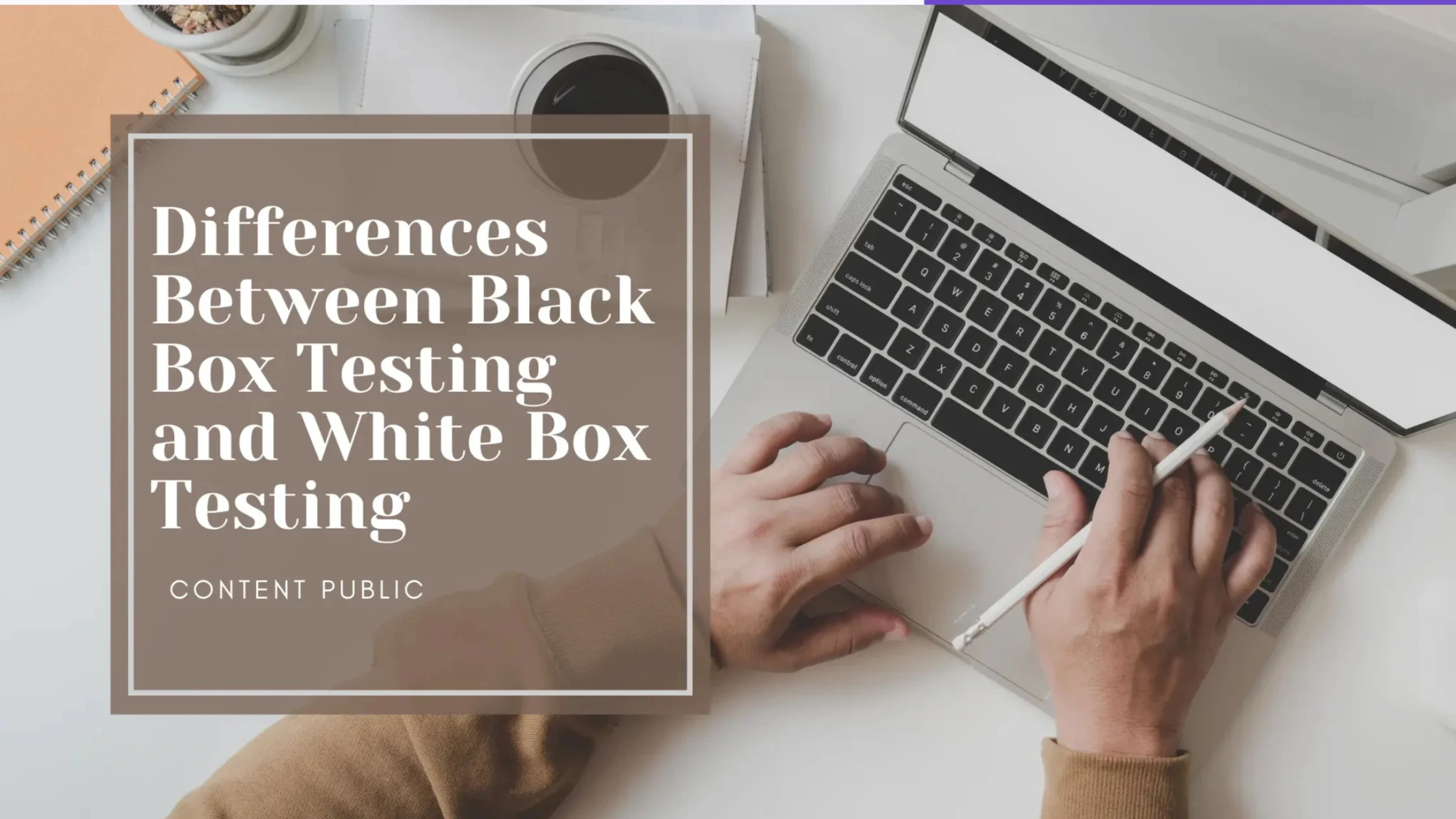 Differences Between Black Box Testing and White Box Testing